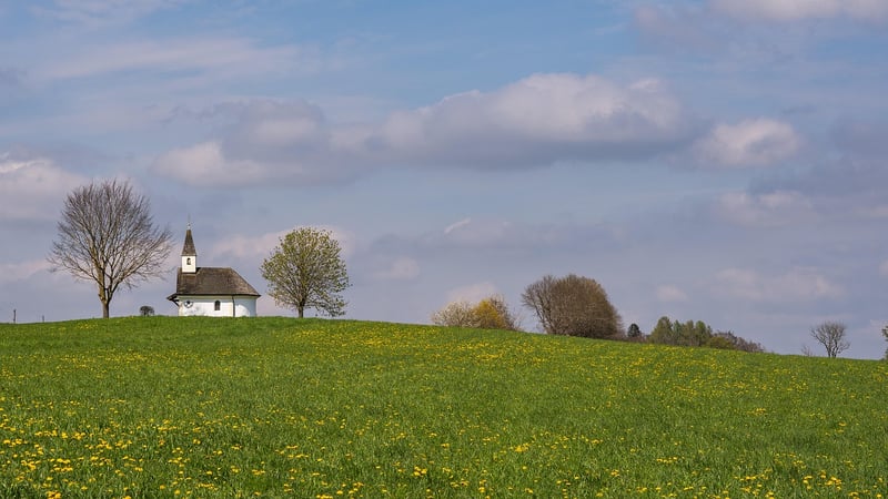 Mythical Meadows